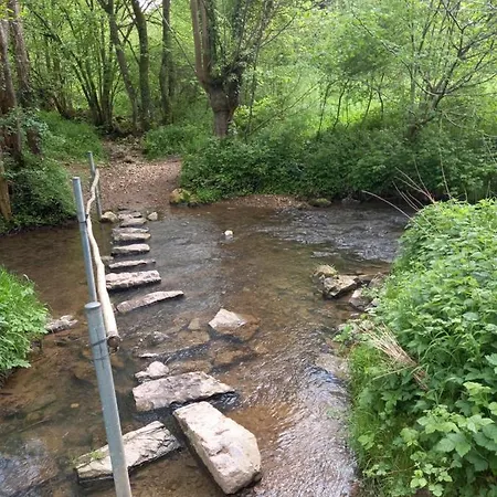 Ap5 Nature Ardennes Economy Class *