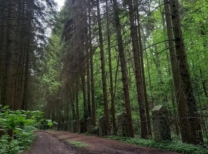 Ap5 Nature Ardennes Economy Class Apartament *