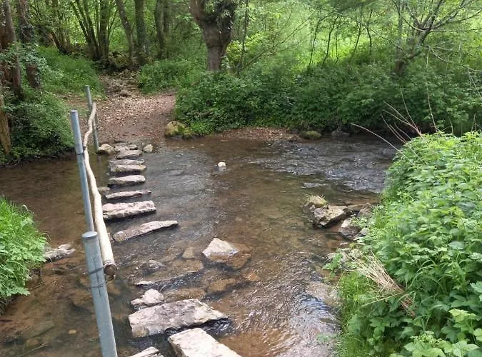 Ap5 Nature Ardennes Economy Class *